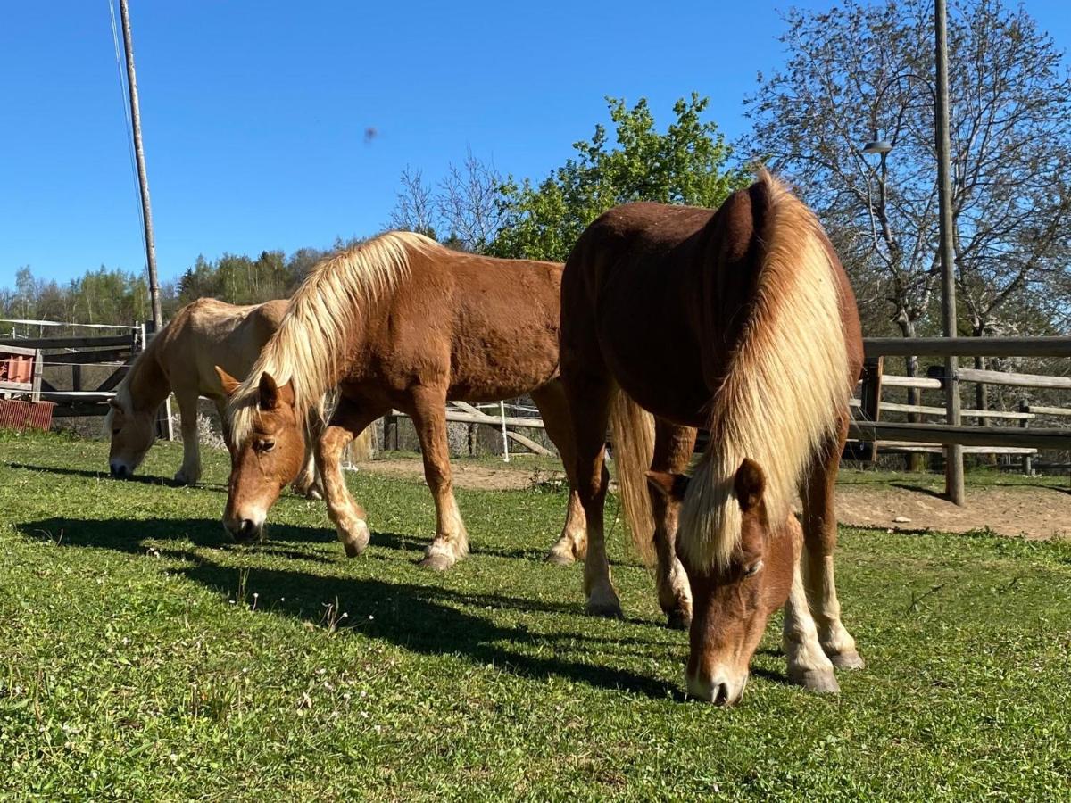 Ranch Enbruca Lägenhet Boves Exteriör bild