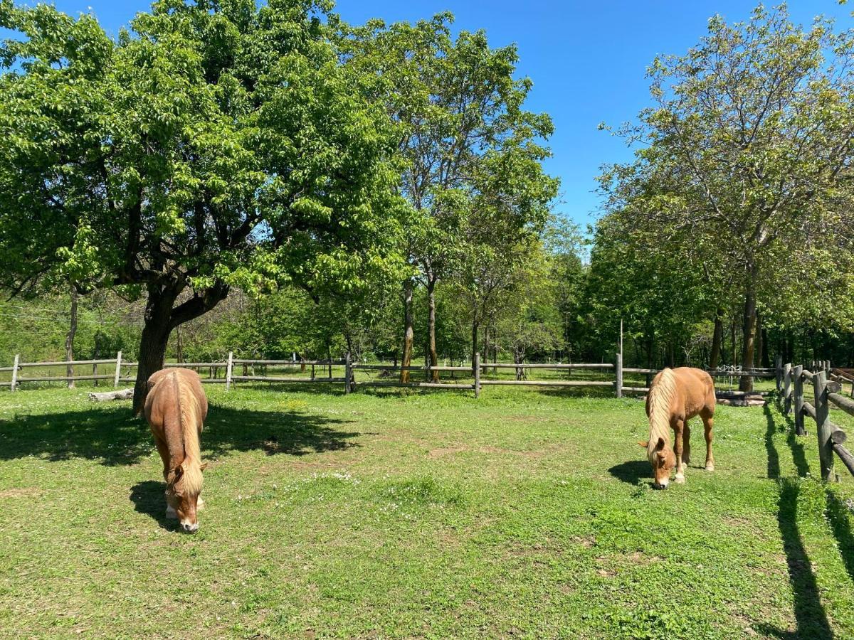 Ranch Enbruca Lägenhet Boves Exteriör bild